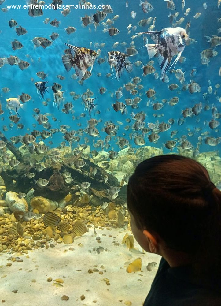 AquaRio
