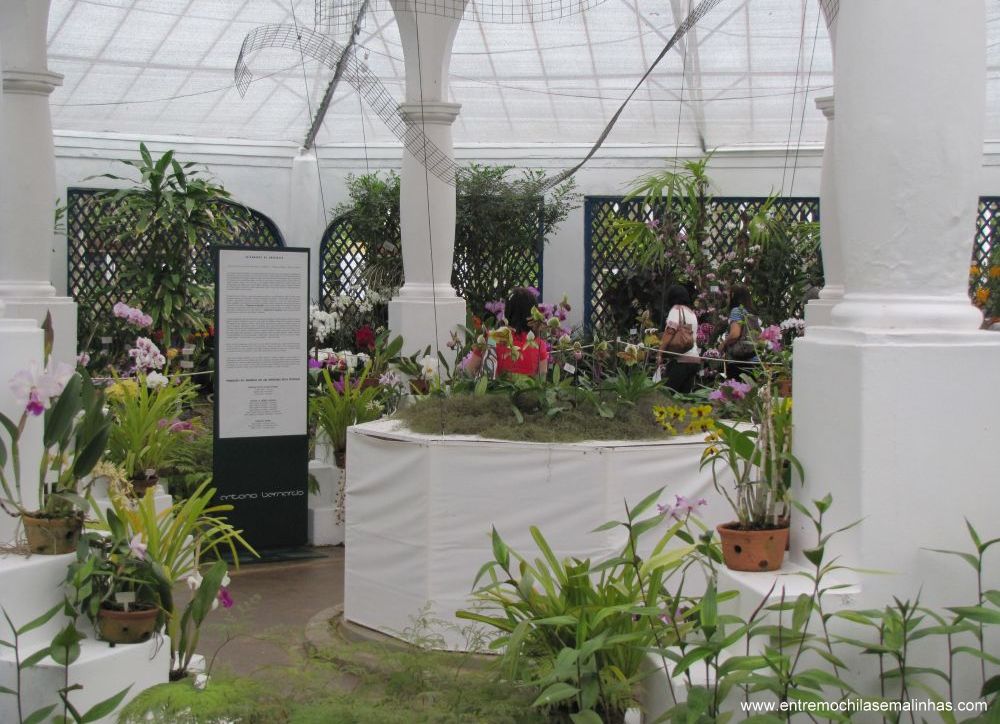 Jardim Botânico do Rio de Janeiro