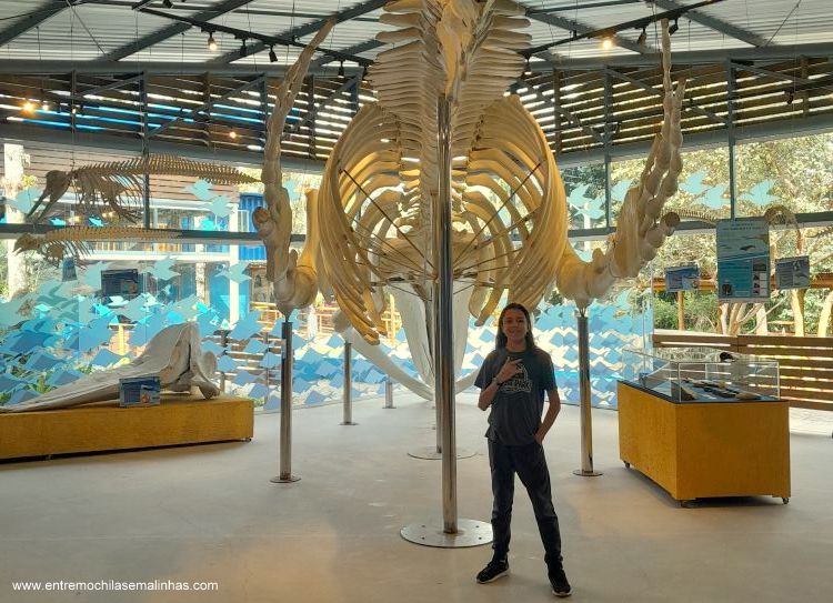 Museu da Vida Marinha em Ubatuba