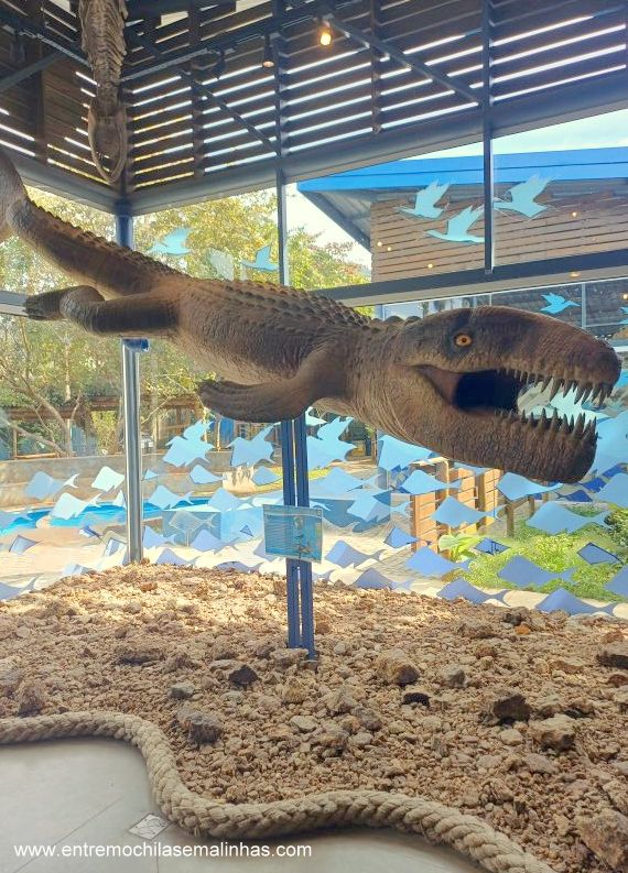 Museu da Vida Marinha em Ubatuba