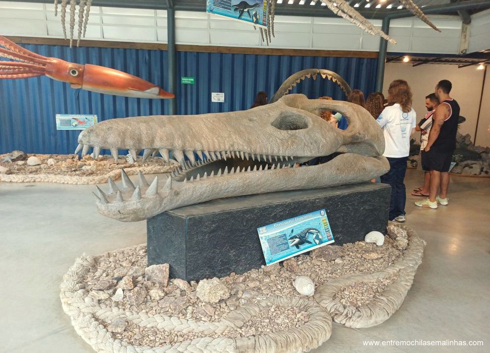 Museu da Vida Marinha em Ubatuba