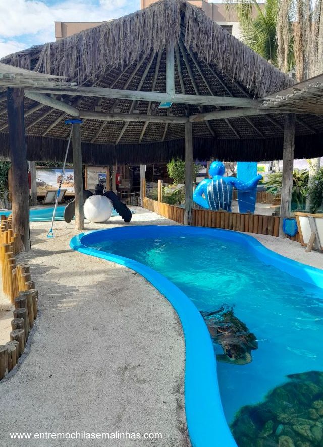 Projeto Tamar Ubatuba