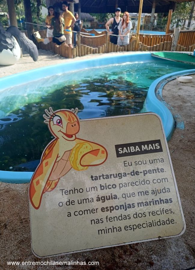 Projeto Tamar Ubatuba