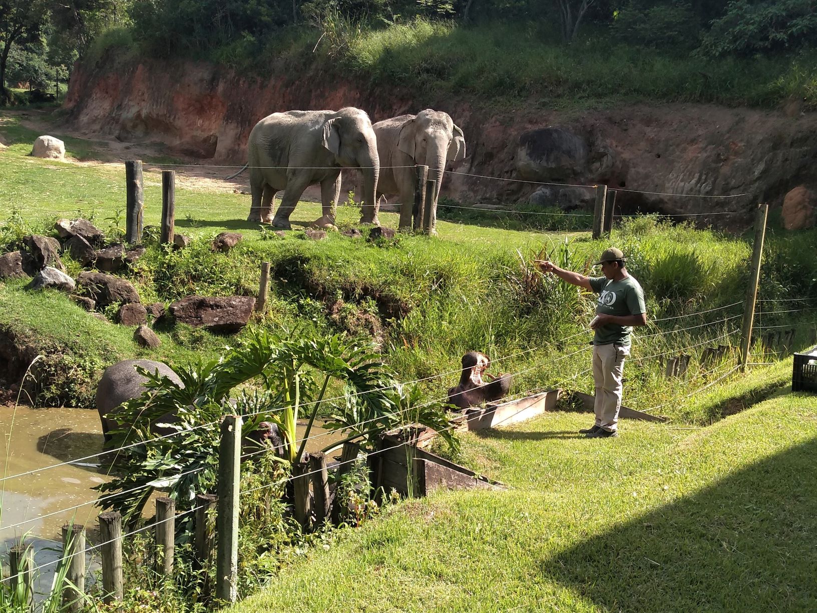 Como é o Zooparque Itatiba no interior de SP | Entre Mochilas e Malinhas