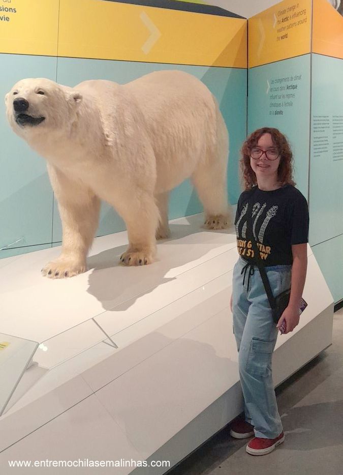 Canadian Museum of Nature - Arctic Gallery