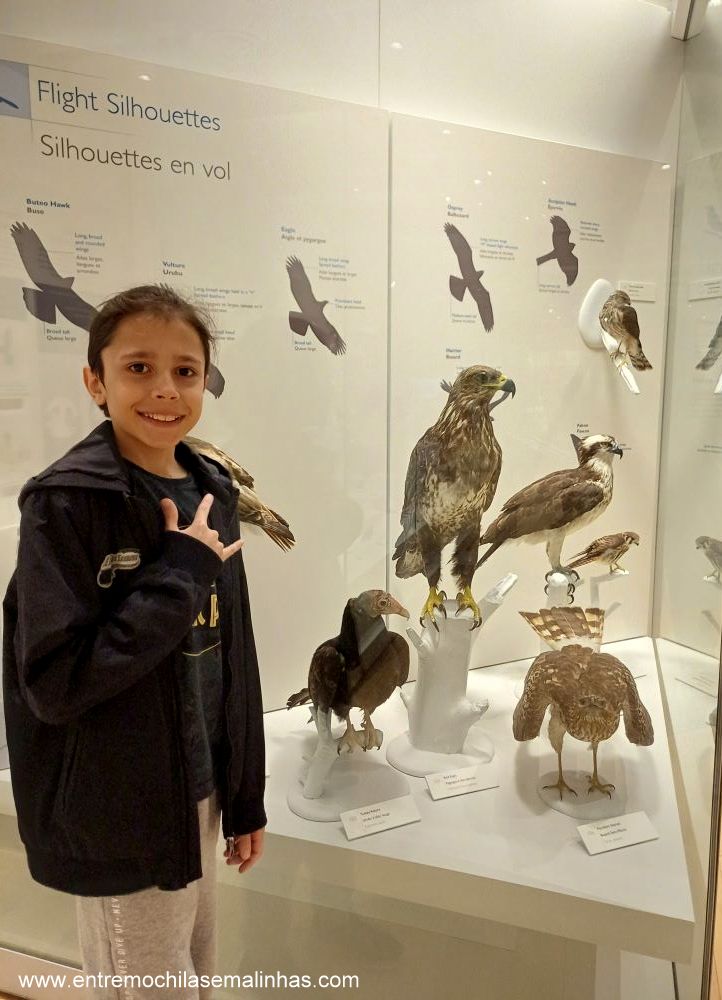 Canadian Museum of Nature - Birds Gallery