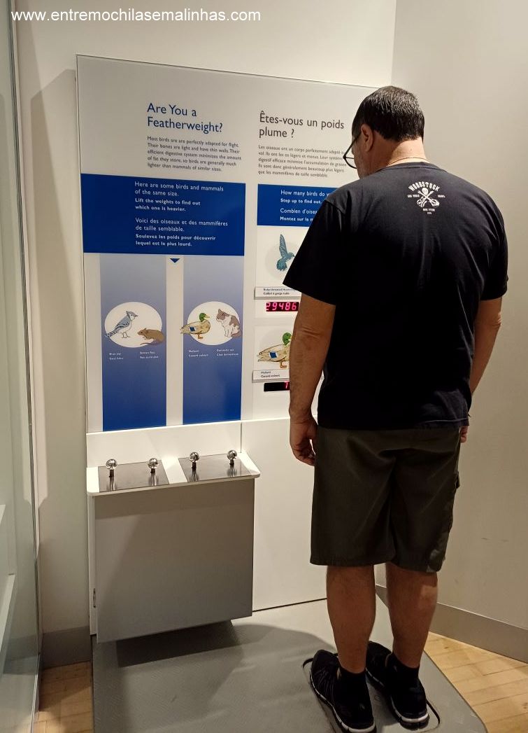 Canadian Museum of Nature - Birds Gallery
