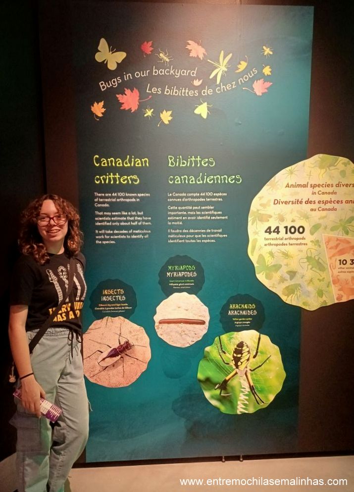Canadian Museum of Nature - Bug Adventure