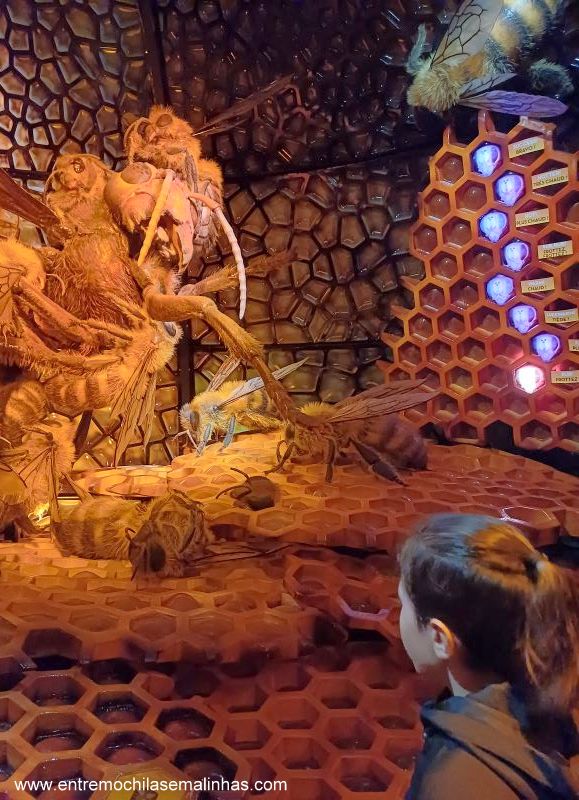 Canadian Museum of Nature - Bug Adventure