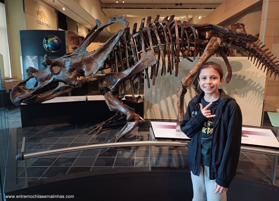 Canadian Museum of Nature - Fossil Gallery