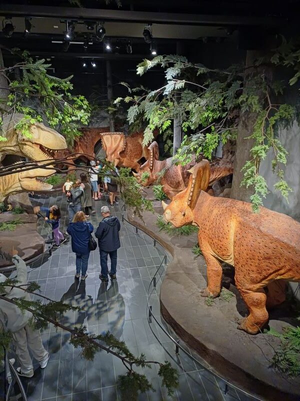 Canadian Museum of Nature - Fossil Gallery