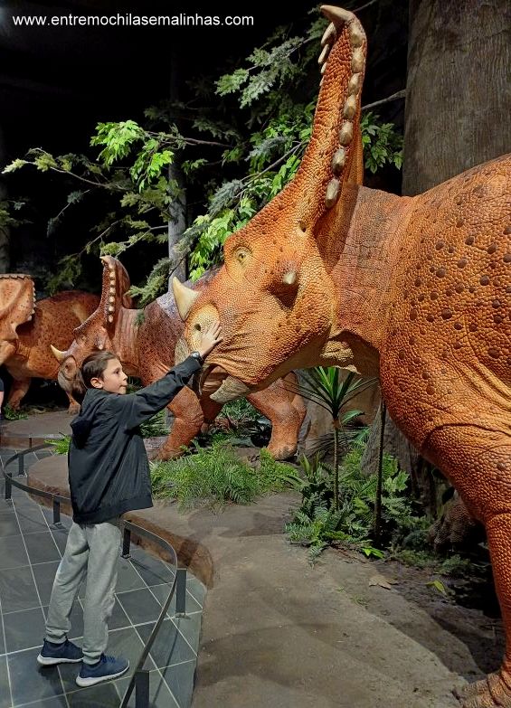 Canadian Museum of Nature - Fossil Gallery