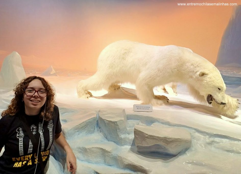 Canadian Museum of Nature - Mammal Gallery