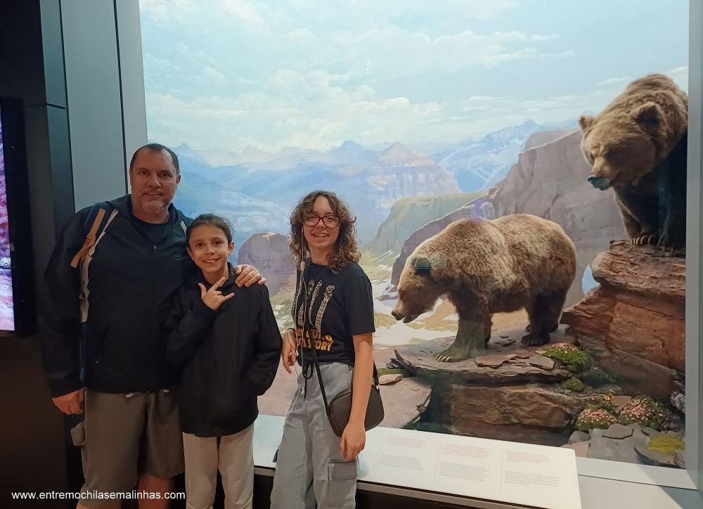Canadian Museum of Nature - Mammal Gallery