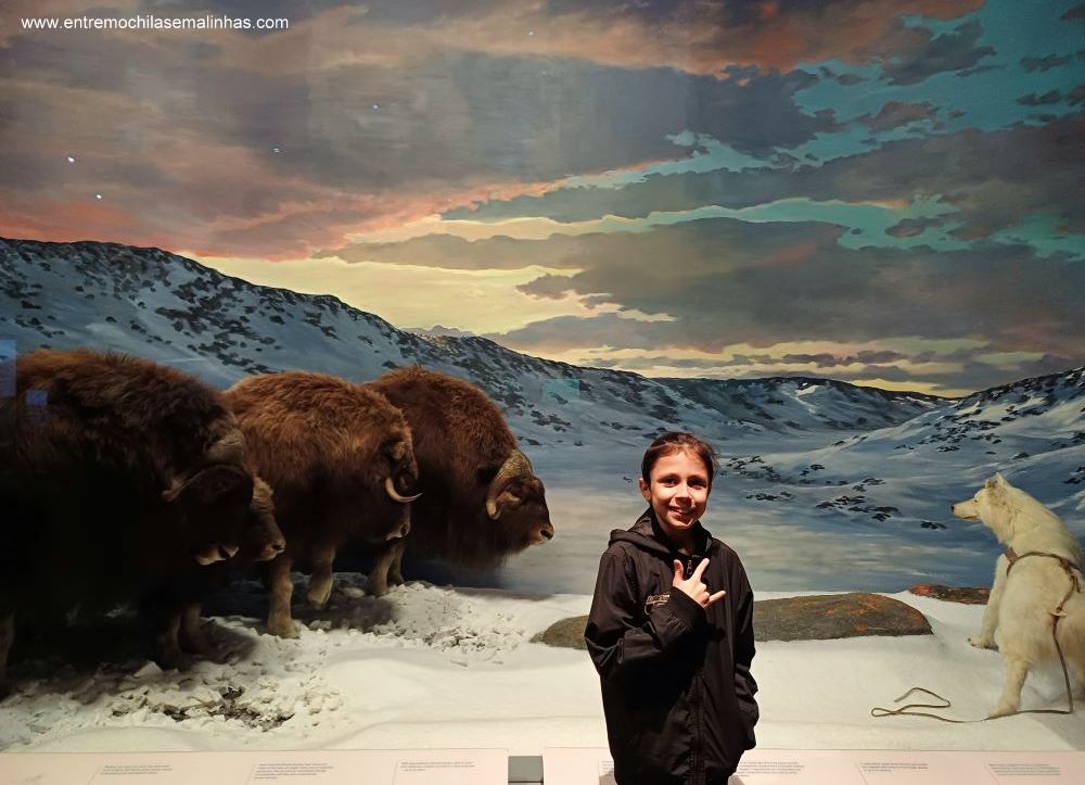 Canadian Museum of Nature - Mammal Gallery