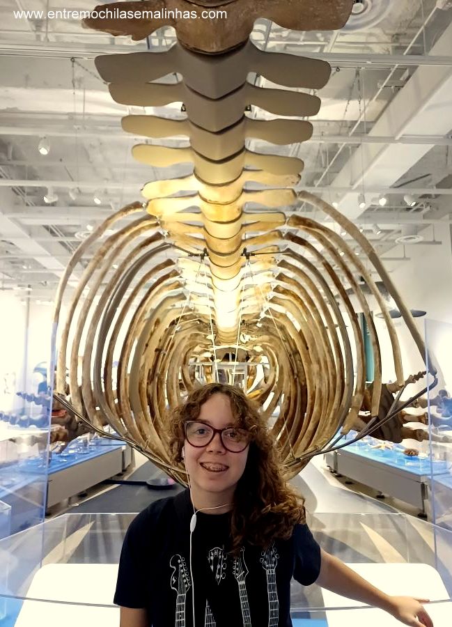 Canadian Museum of Nature - Water Gallery