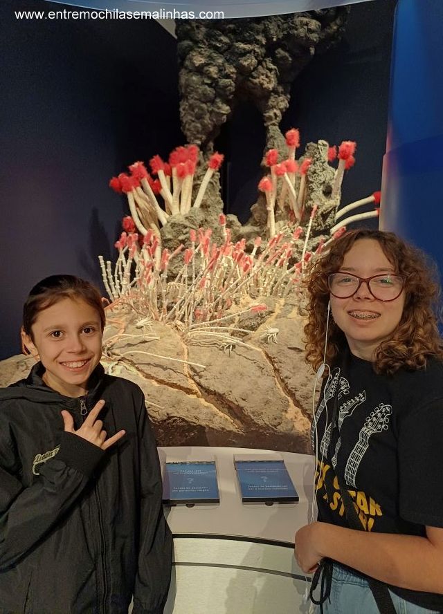 Canadian Museum of Nature - Water Gallery