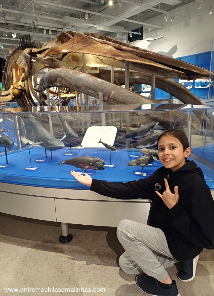 Canadian Museum of Nature - Water Gallery