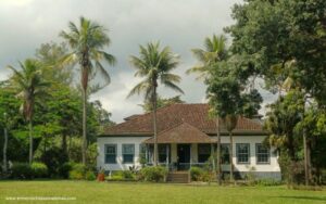 Fazenda dos Coqueiros