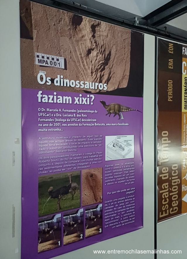 Museu da Ciência em São Carlos