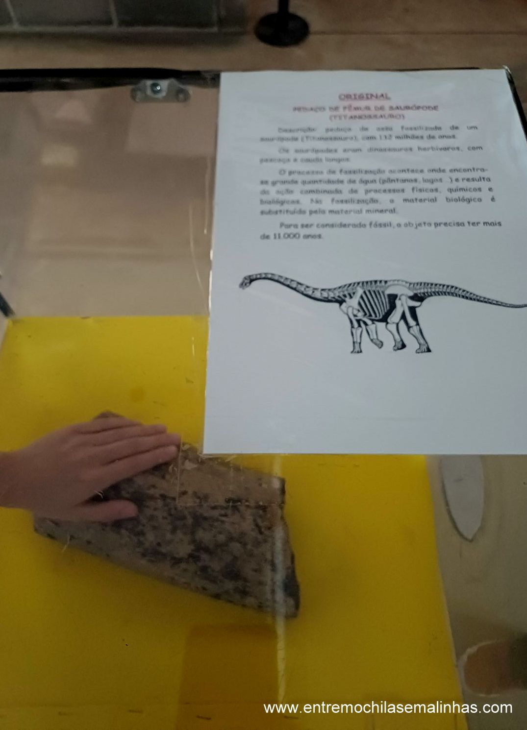 Museu da Ciência em São Carlos