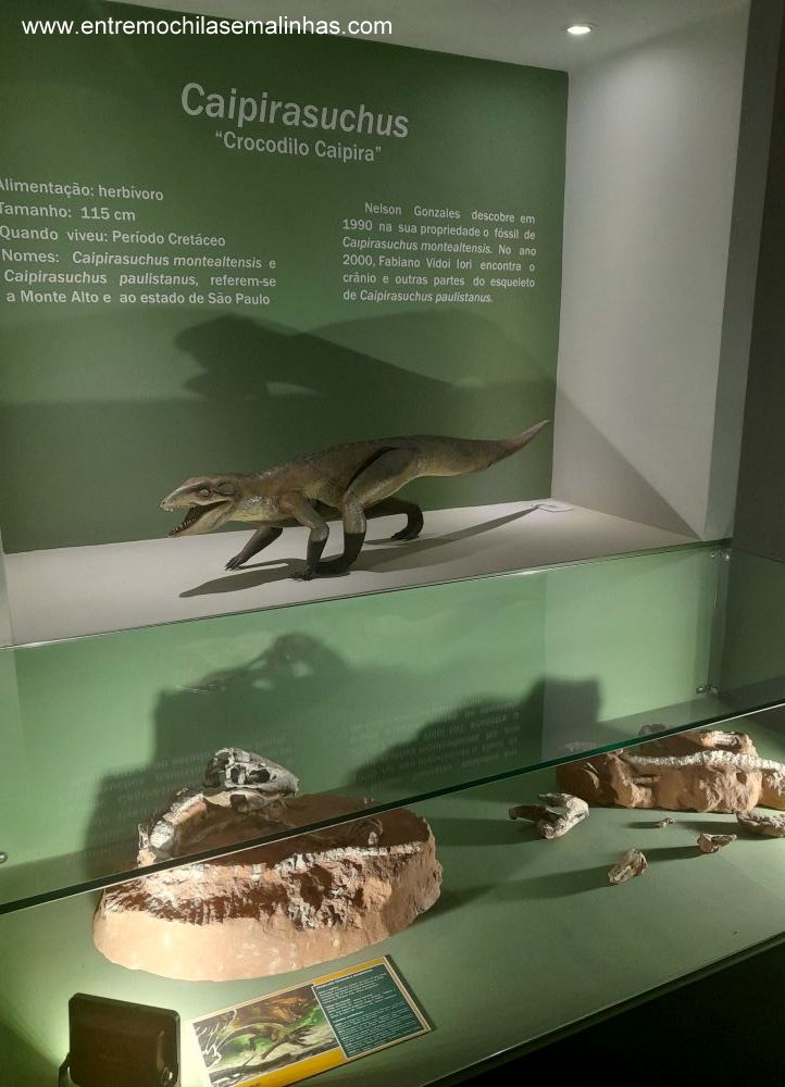Museu de Paleontologia de Monte Alto