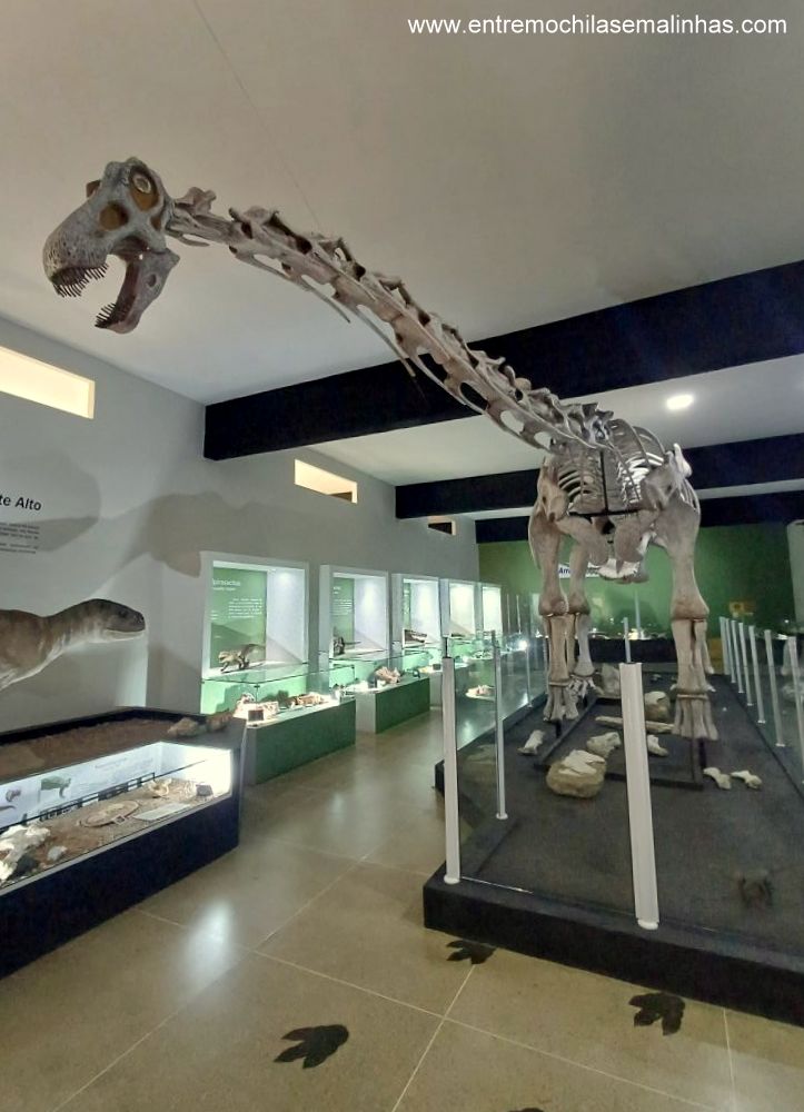 Museu de Paleontologia de Monte Alto