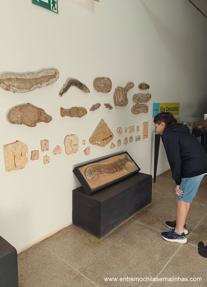 Museu de Paleontologia de Monte Alto