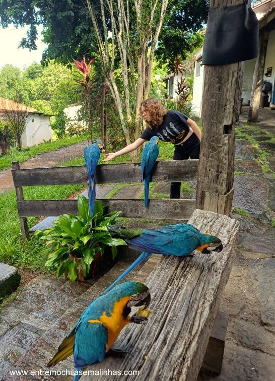 Fazenda Resgatinho em Bananal