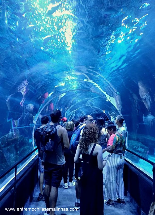 Aquário Marinho do Rio