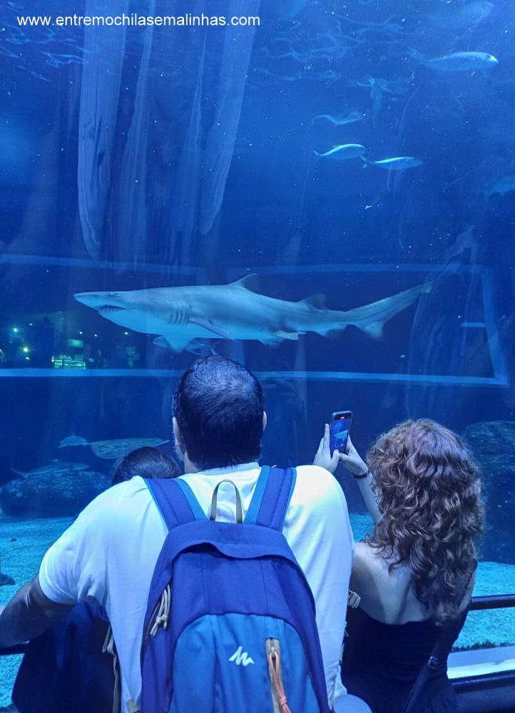 Aquário Marinho do Rio