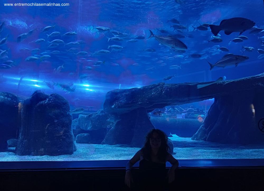 Aquário Marinho do Rio