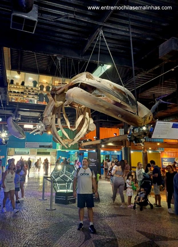 Aquário Marinho do Rio