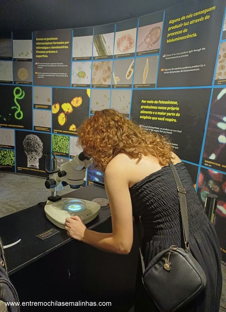 Aquário Marinho do Rio