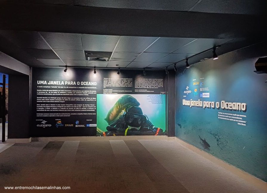 Aquário Marinho do Rio