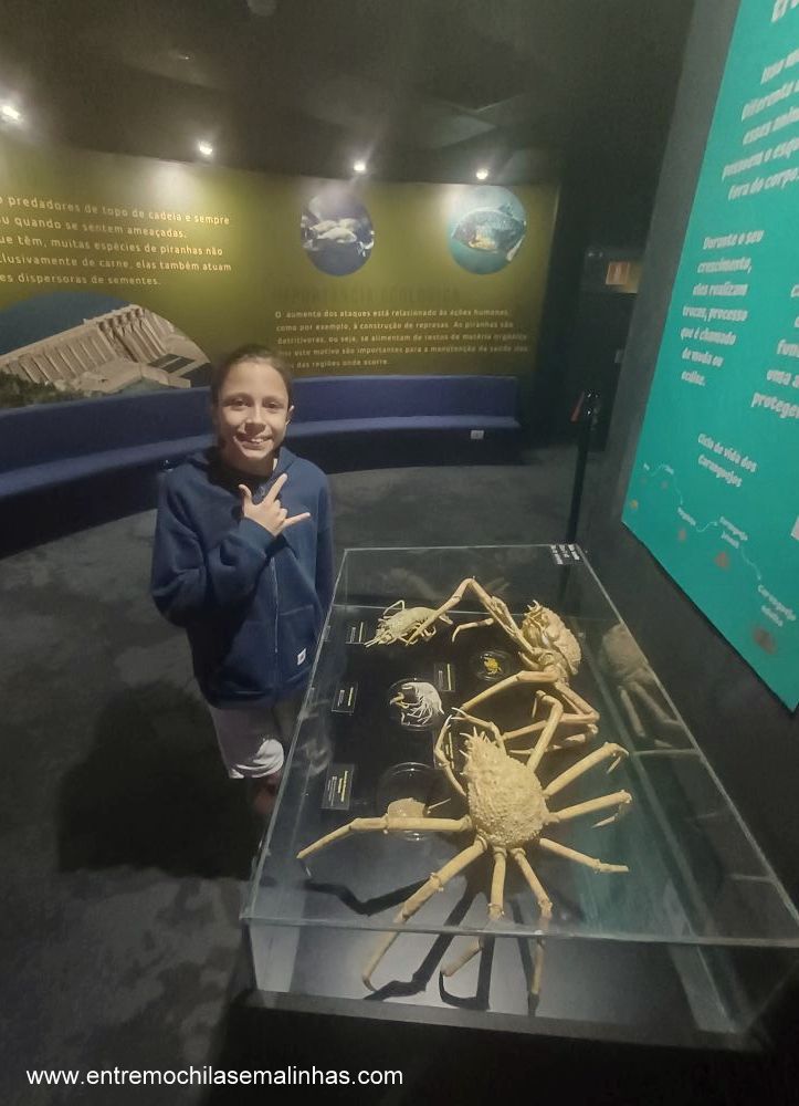 Aquário Marinho do Rio