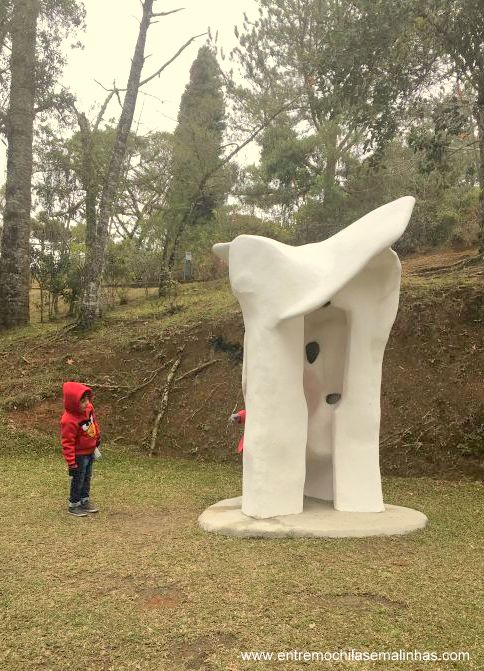 Museu Felicia Leirner