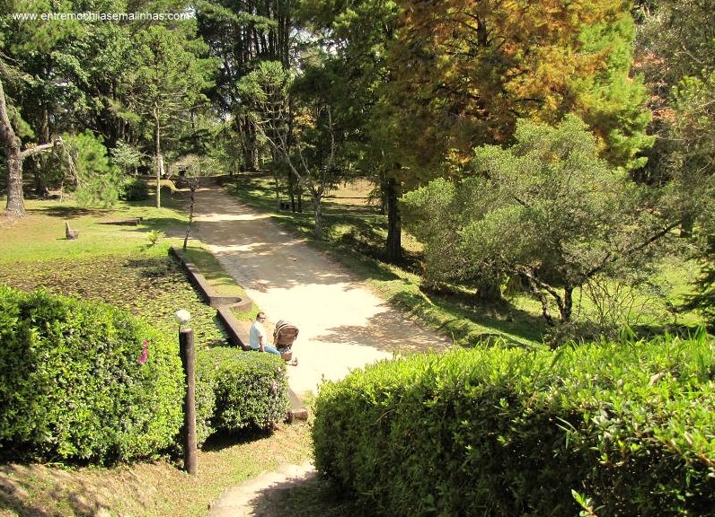 Parque Campos do Jordão (Horto Florestal)