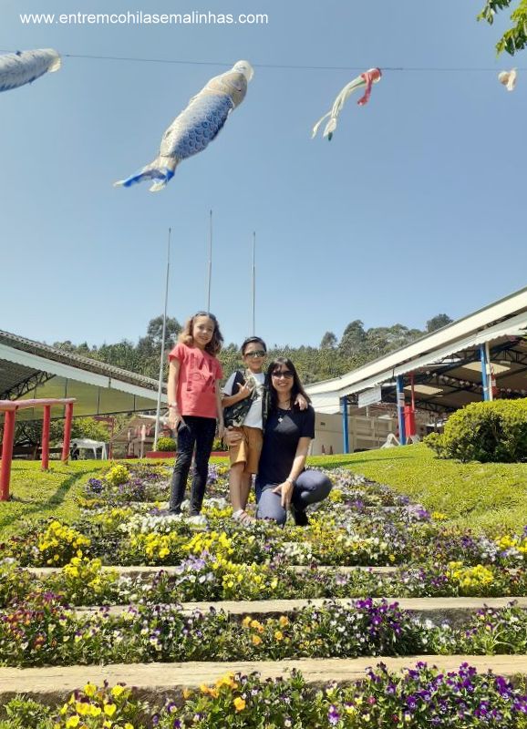 Parque da Cerejeira de Campos do Jordão