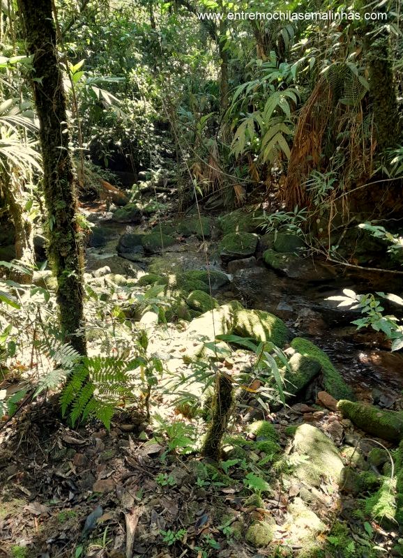 trilha para a Cachoeira do Bracuí Bananal