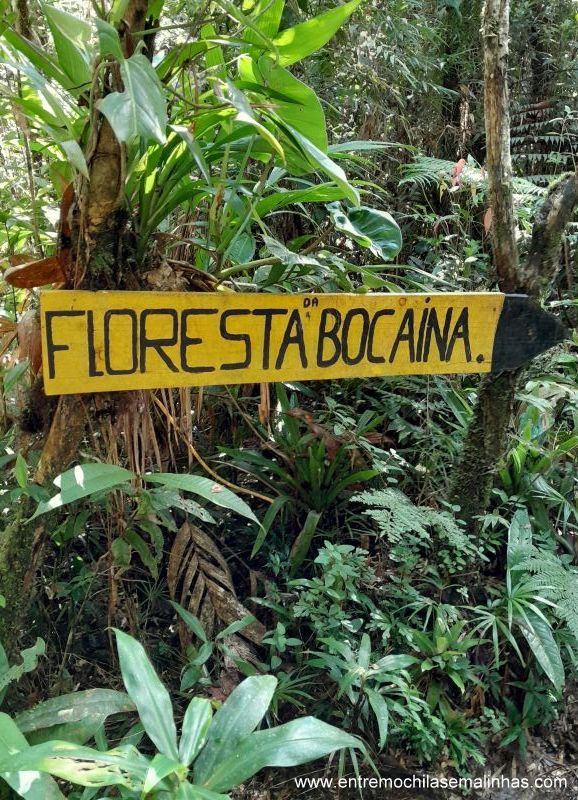 trilha para a Cachoeira do Bracuí Bananal