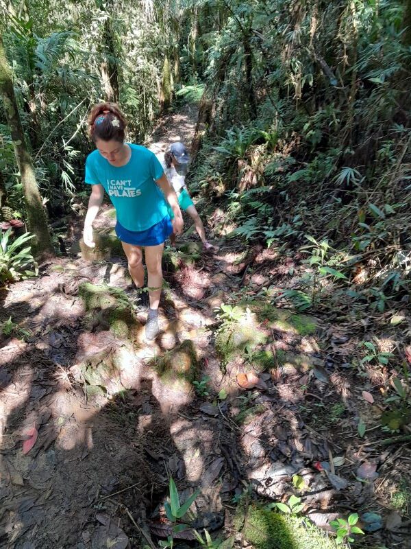 trilha para a Cachoeira do Bracuí Bananal