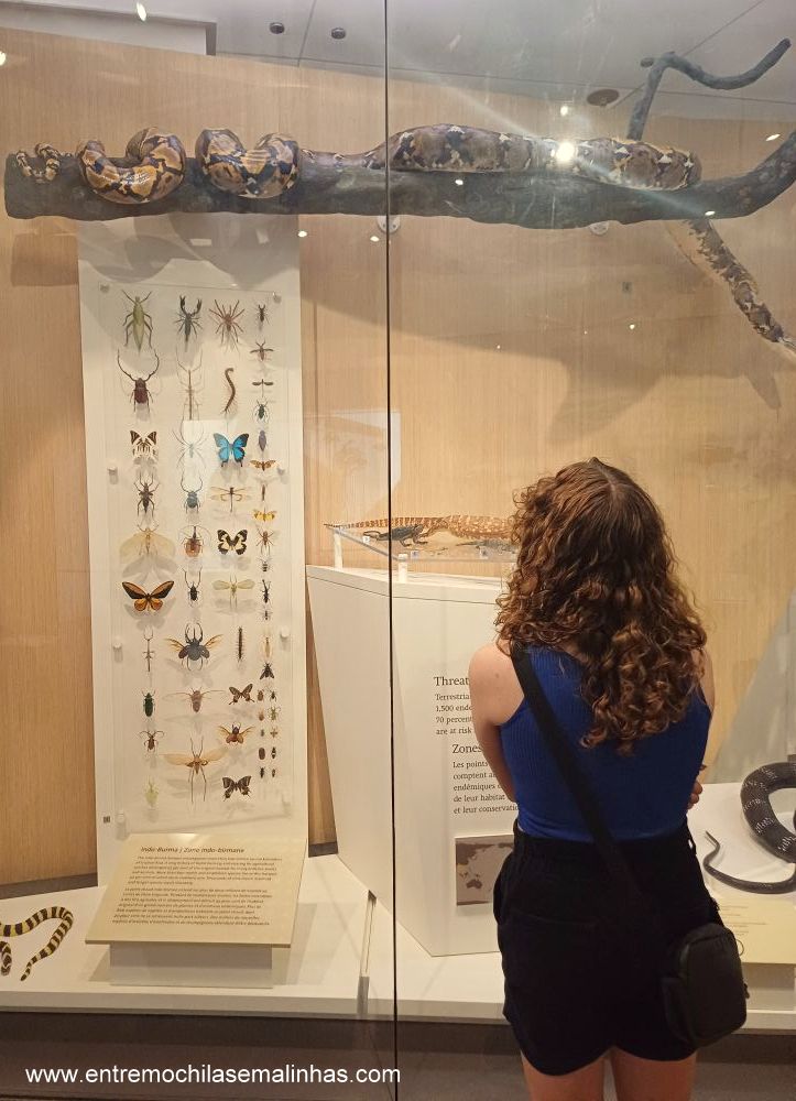 Royal Ontario Museum em Toronto