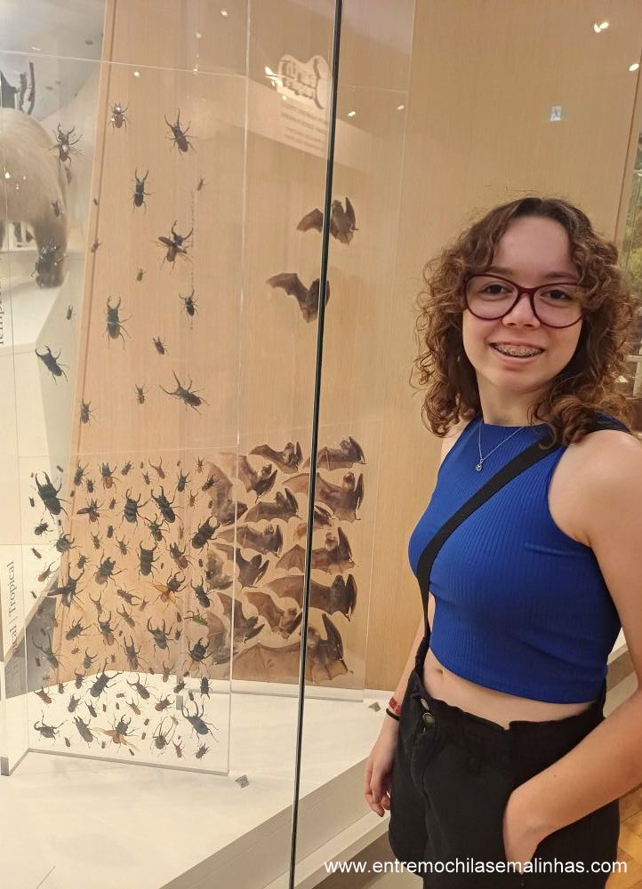 Royal Ontario Museum em Toronto