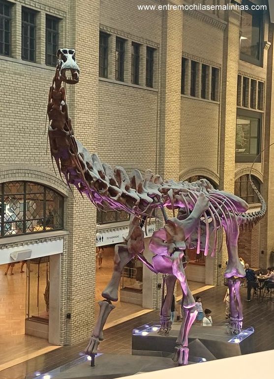 Royal Ontario Museum em Toronto