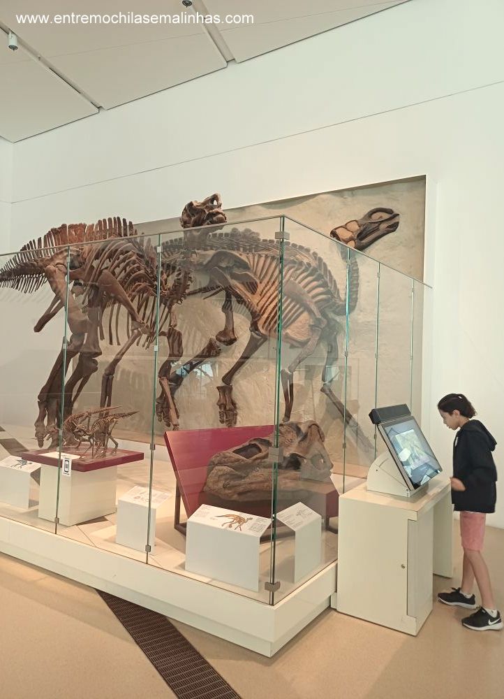 Royal Ontario Museum em Toronto