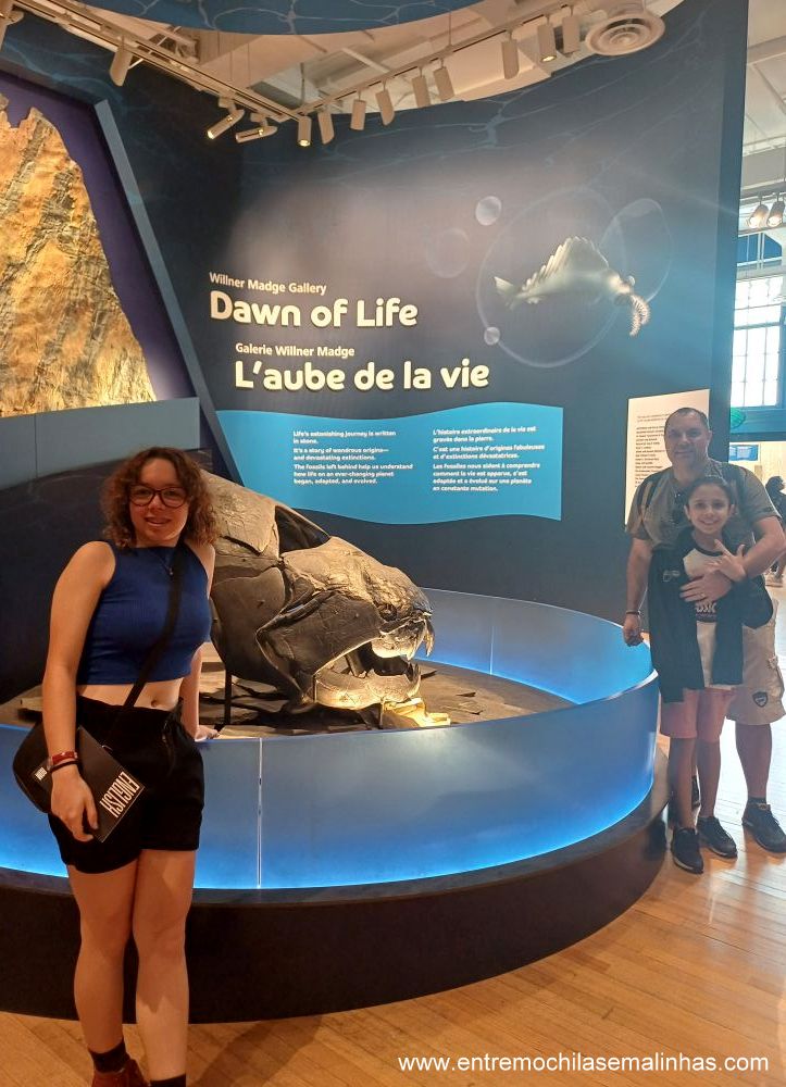 Royal Ontario Museum em Toronto
