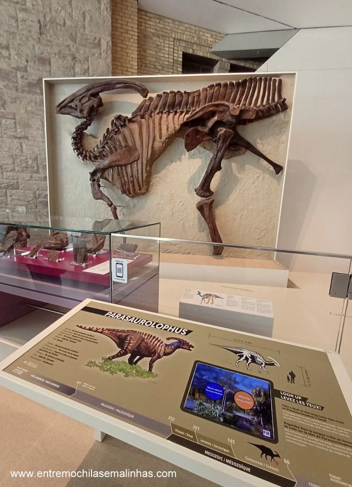 Royal Ontario Museum em Toronto