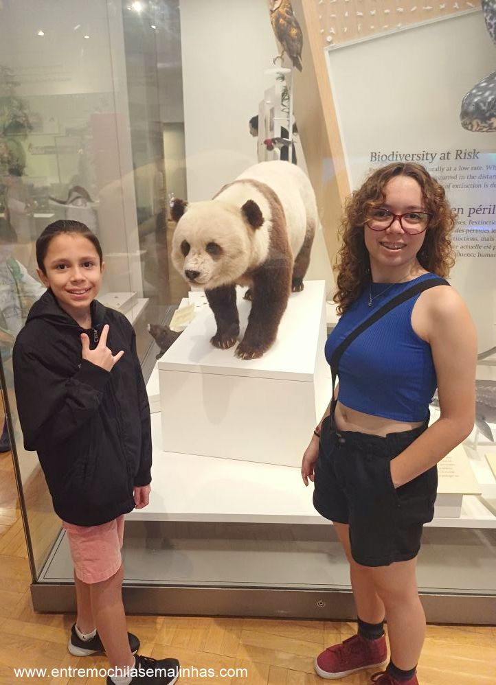 Royal Ontario Museum em Toronto