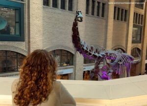 Royal Ontario Museum em Toronto